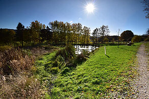 Uferweg am Weiher der Ortsgemeinde Wirschweiler