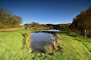 Idyllischer Weiher in Wirschweiler mit Wiesen und Waldkulisse
